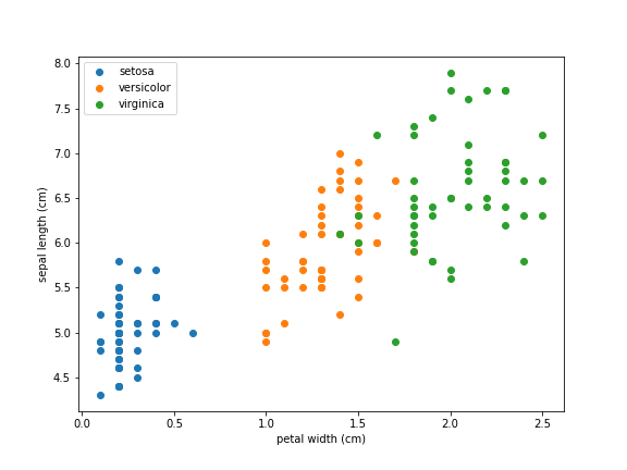 iris data